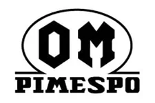 Запчасти для погрузчиков PIMESPO